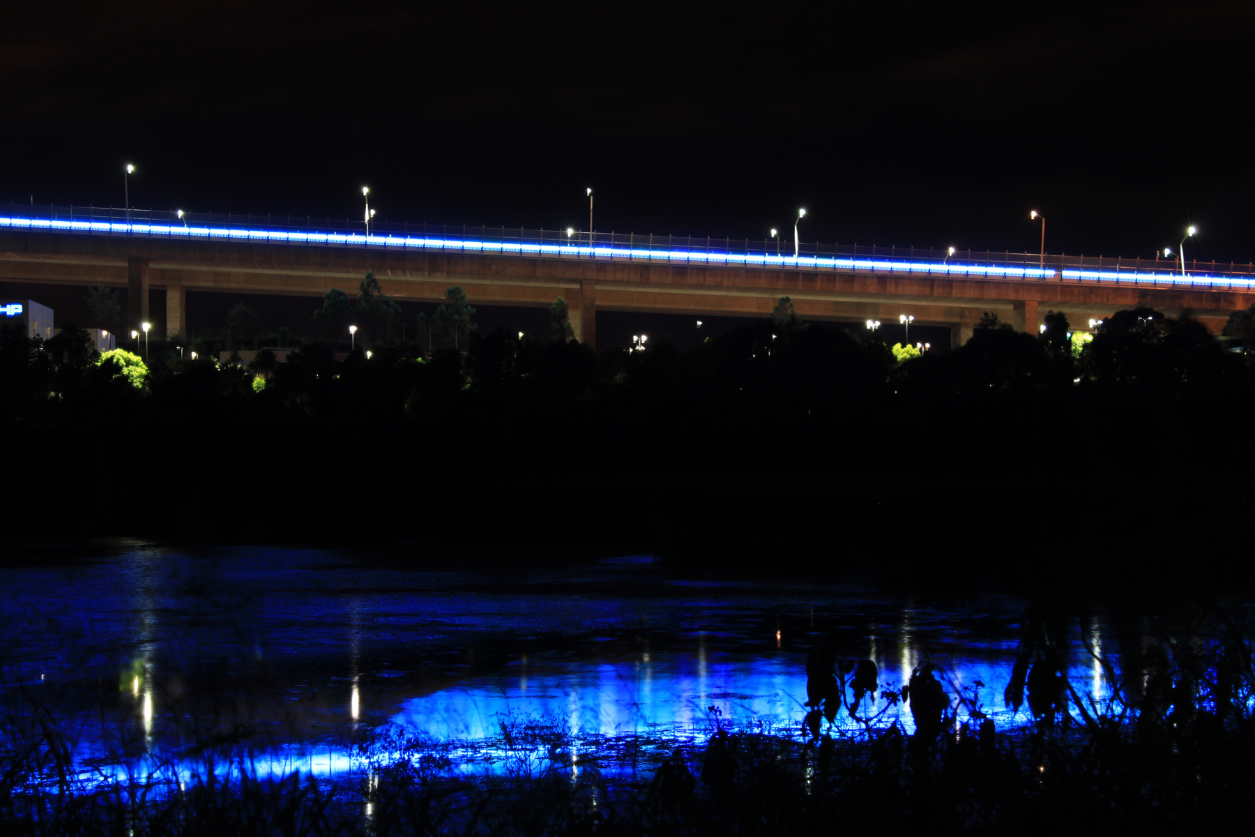 Sir Leo Gateway Bridge Custom LED Facade Architectural Lighting