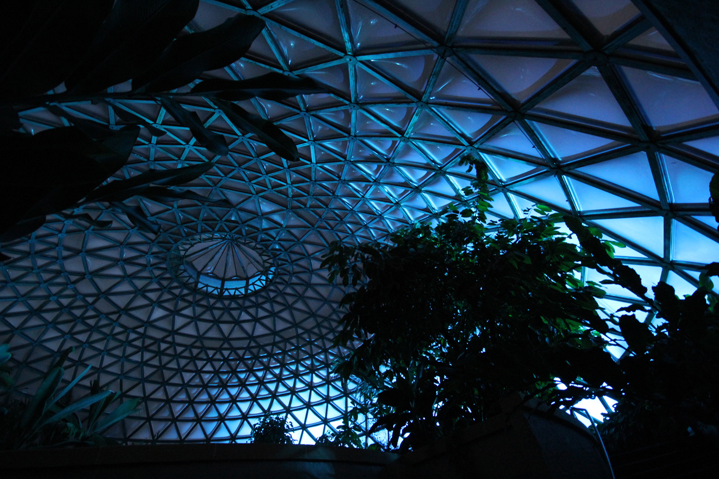 Mt Cootha Botanical Gardens Indoor LED Architectural Building Lighting